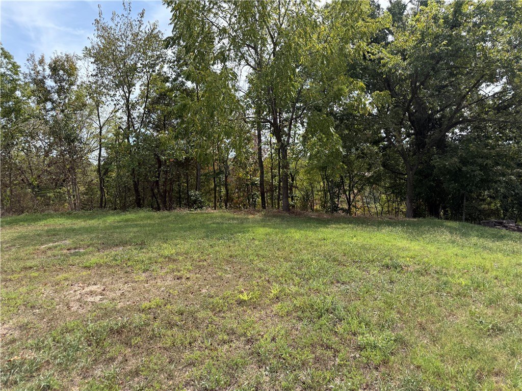 Picture 15