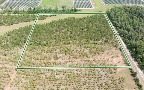 Ag-Zoned Acreage for Homesite