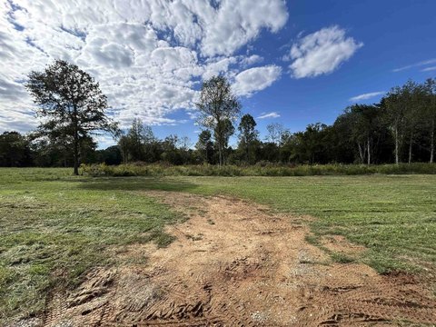 LAND - Savannah, TN