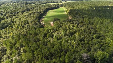 LAND - Webb, AL