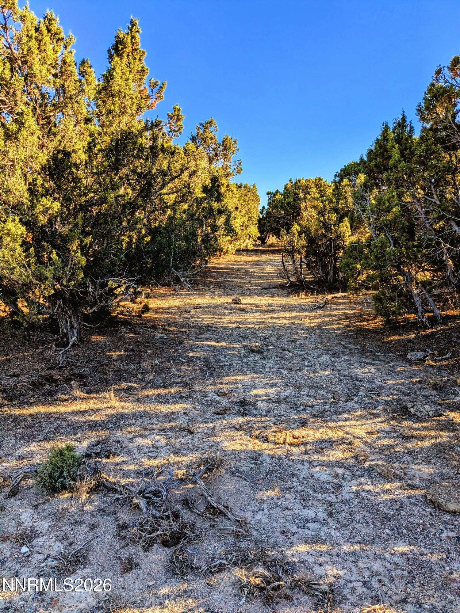 Secluded Nevada Land for Sale