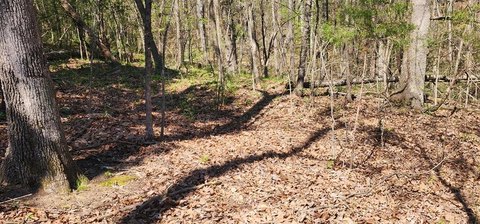 Land Near Tennessee River