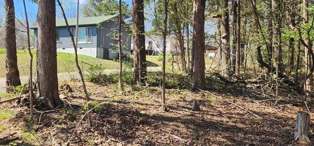 Picture 4