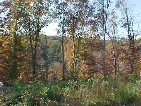 Residential Land in Warsaw, Virginia