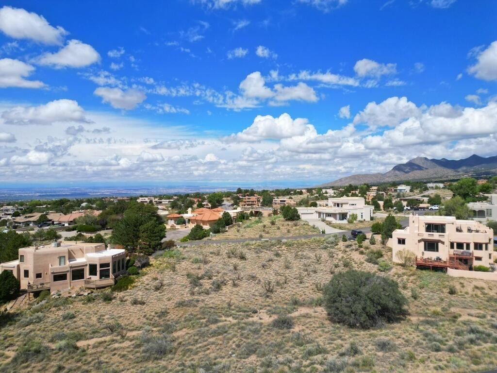 Picture 9