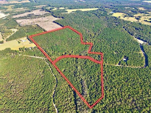 Land, McIntyre, GA