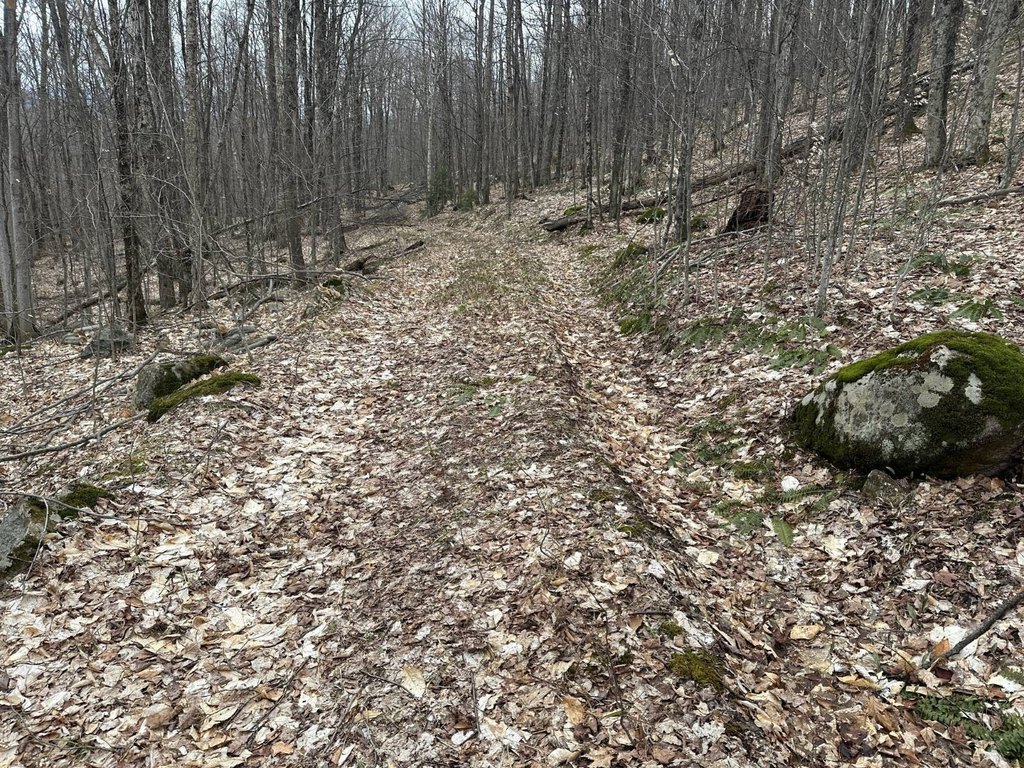Picture 25