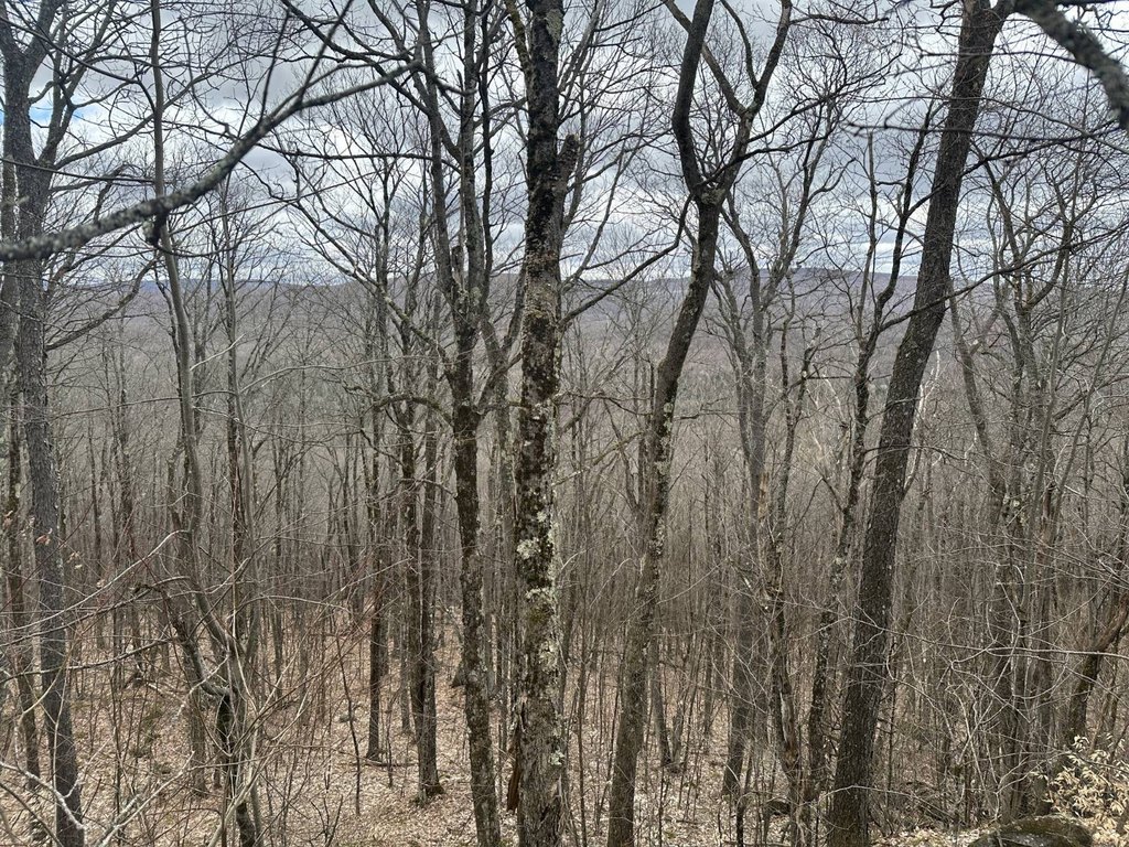 Picture 22