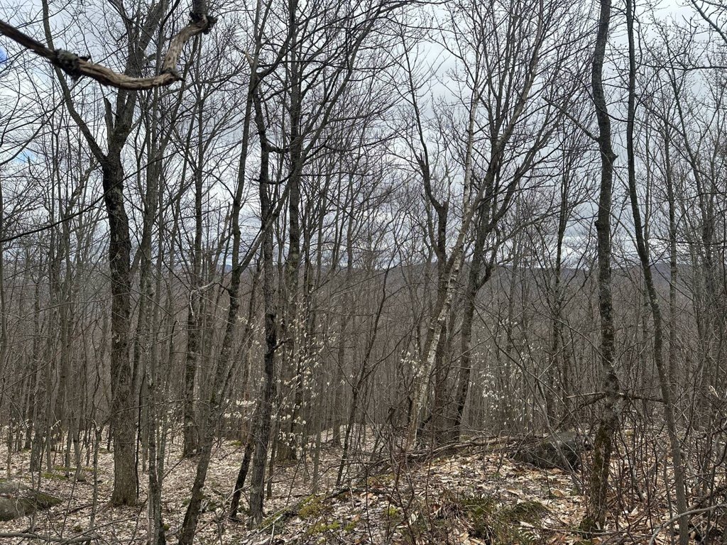 Picture 30