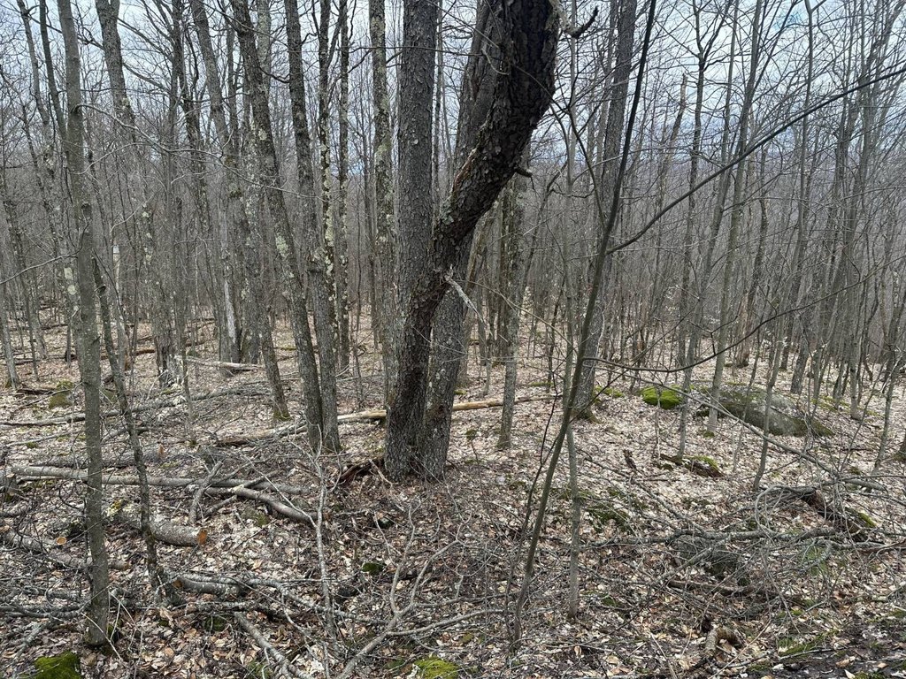 Picture 31
