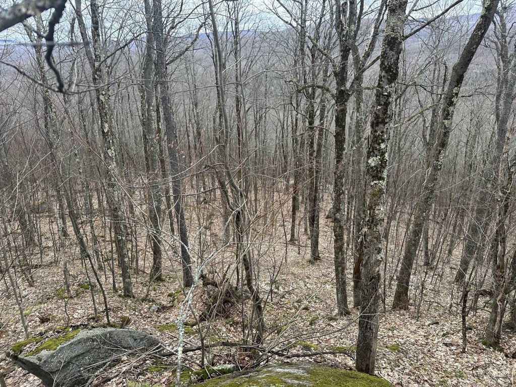 Picture 21