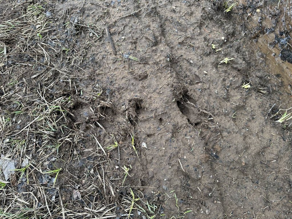 Picture 19