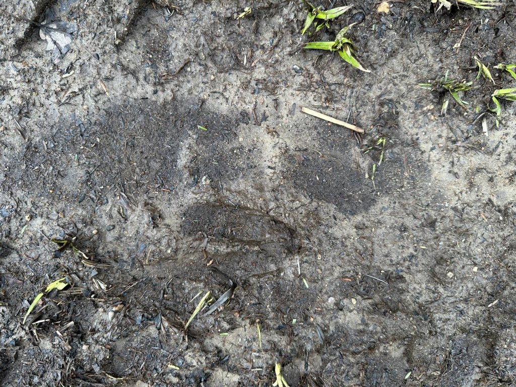 Picture 18
