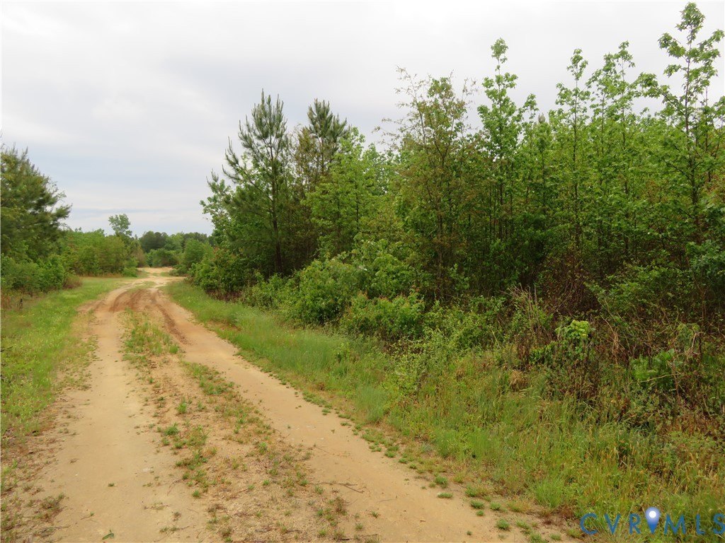 Stony Creek Land For Sale