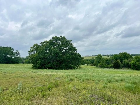 Cul-de-Sac Residential Homesite