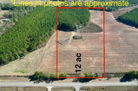 Headland, AL 12-Acre Parcel