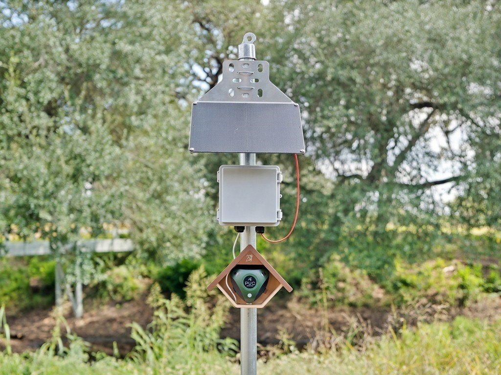 Picture 18