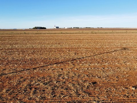 Land, Ropesville, TX