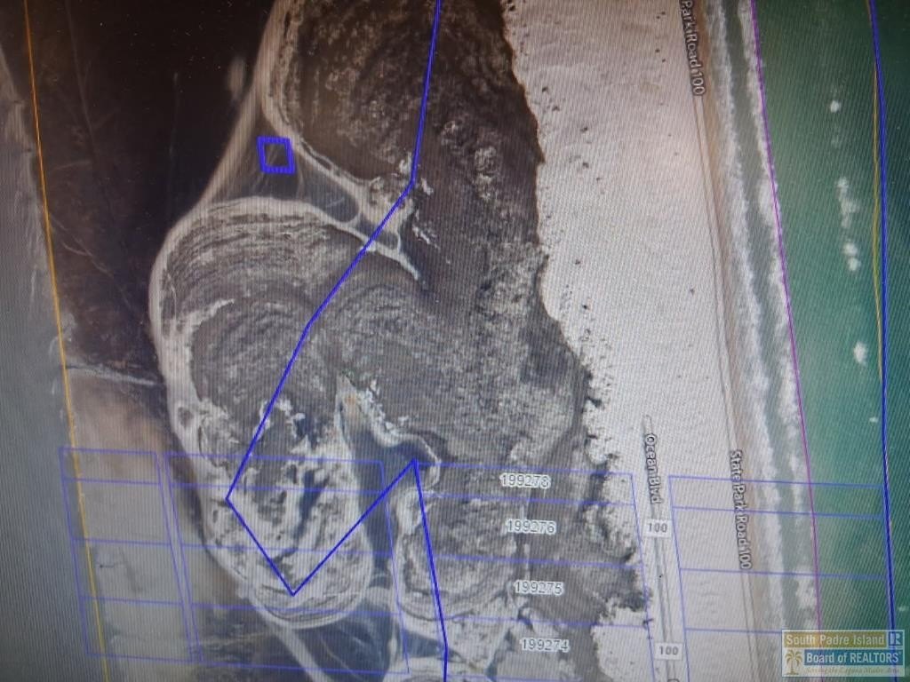 Picture 3