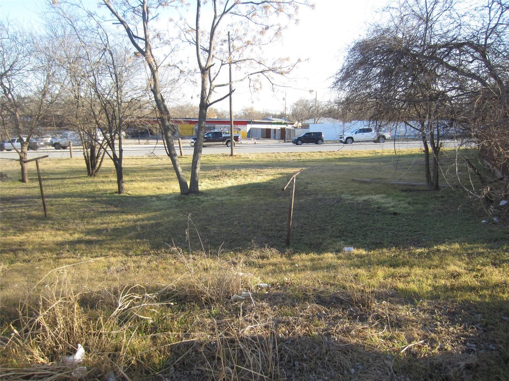 Picture 5