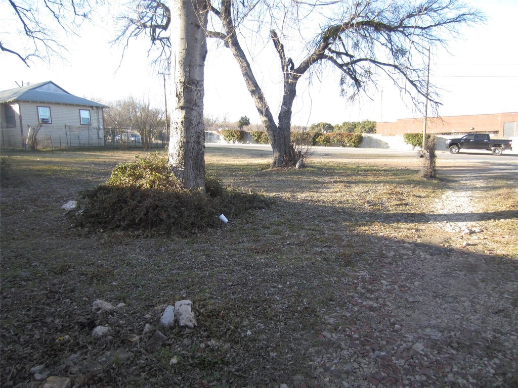 Picture 4