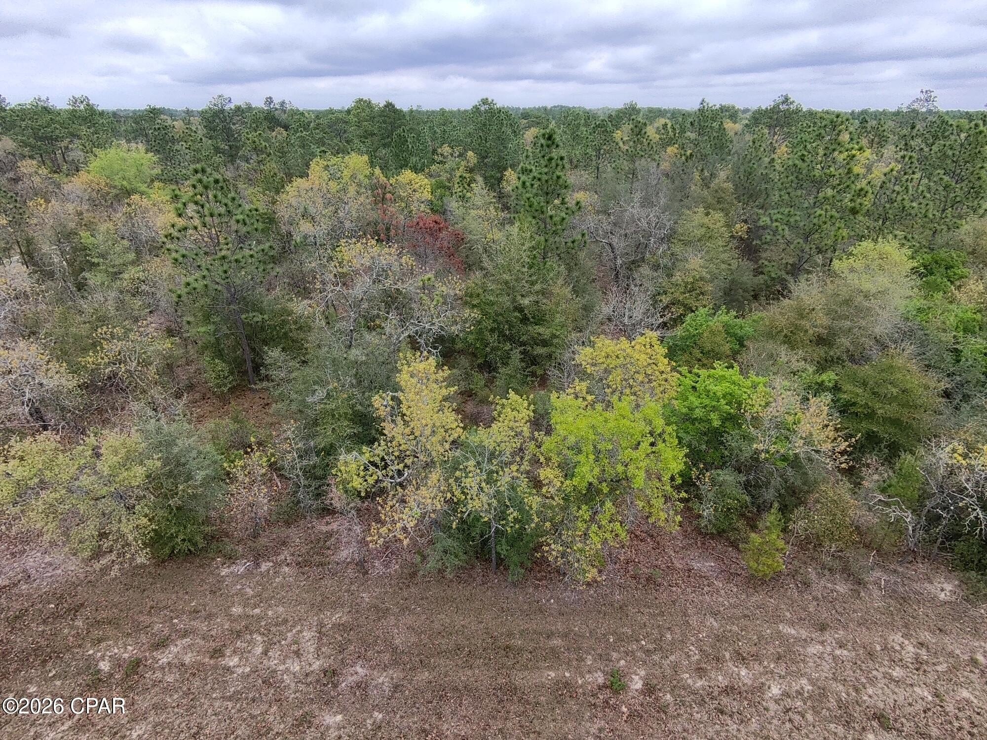 Residential Land in Sunny Hills