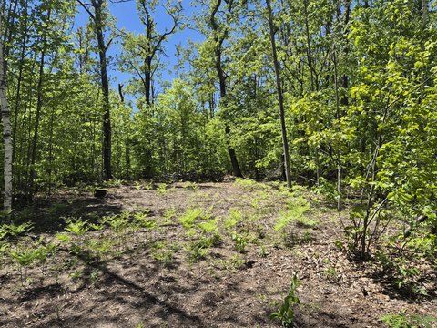LAND - Gaylord, MI