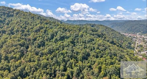 Wooded Recreation Land
