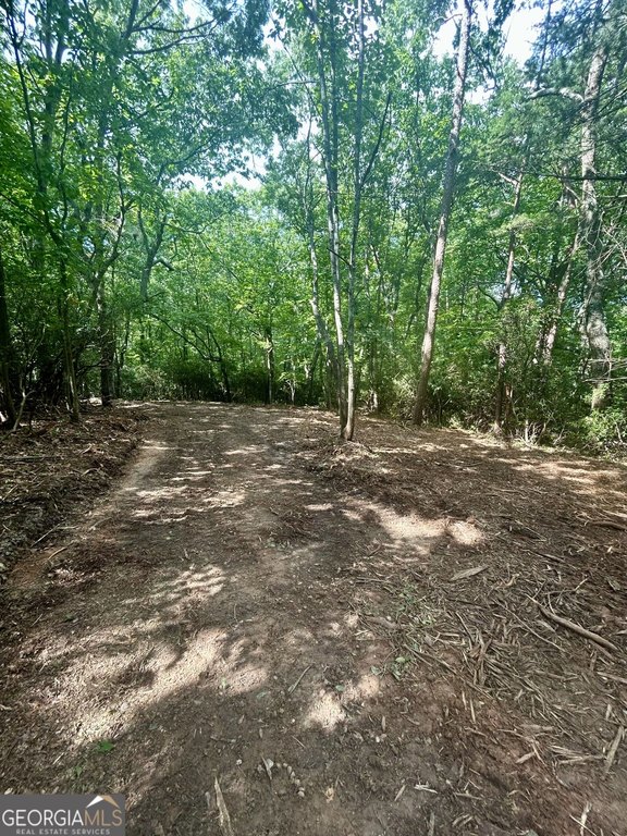 Picture 5