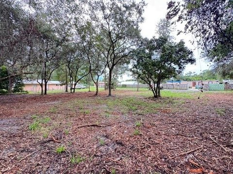 Land, PAISLEY, FL