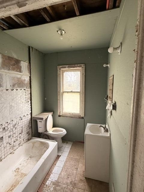 Picture 13
