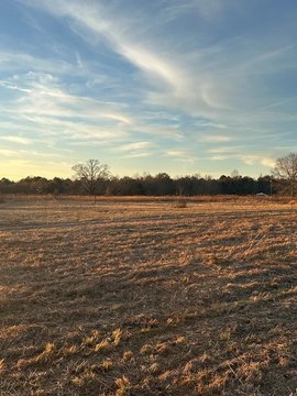 Poplarville Vacant Land Opportunity