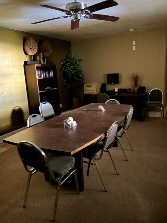 Picture 8