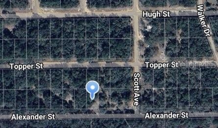 Land Near Lake Grandin