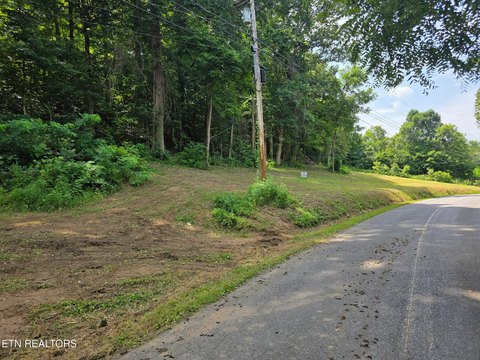 LAND - Dandridge, TN