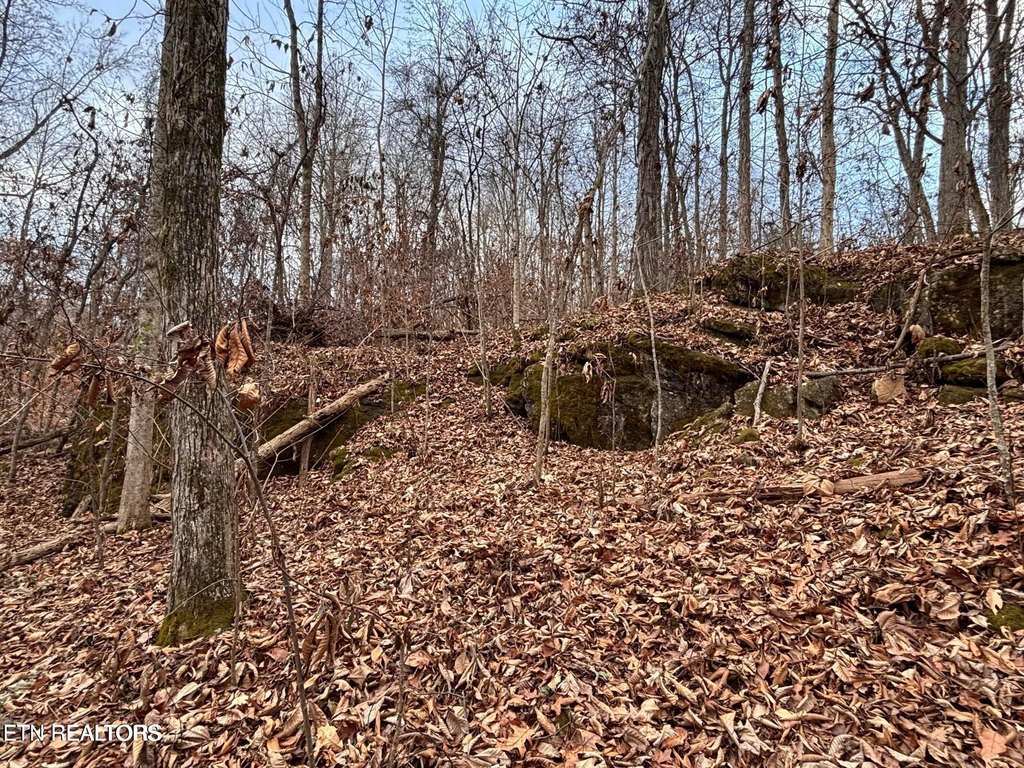 Picture 10