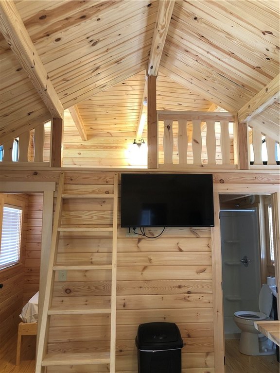 Picture 15