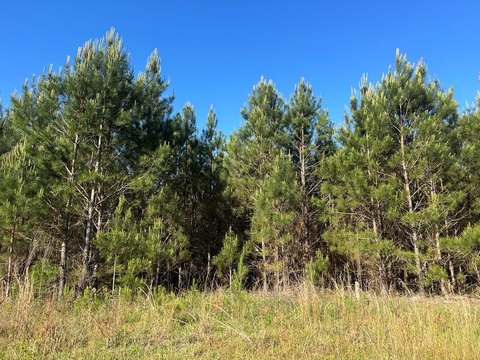 Unrestricted Land with Utility Access