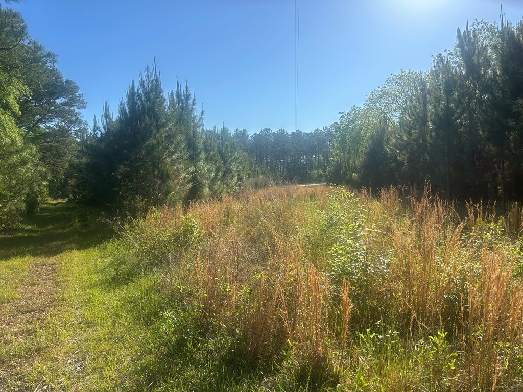 Picture 18