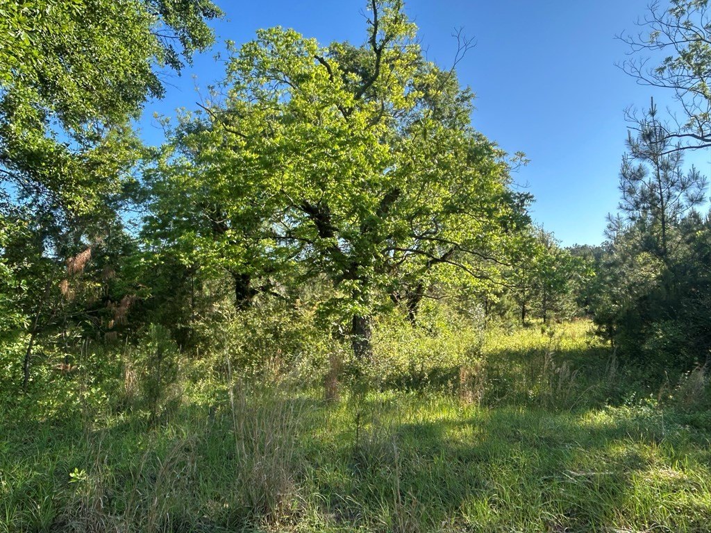 Picture 14