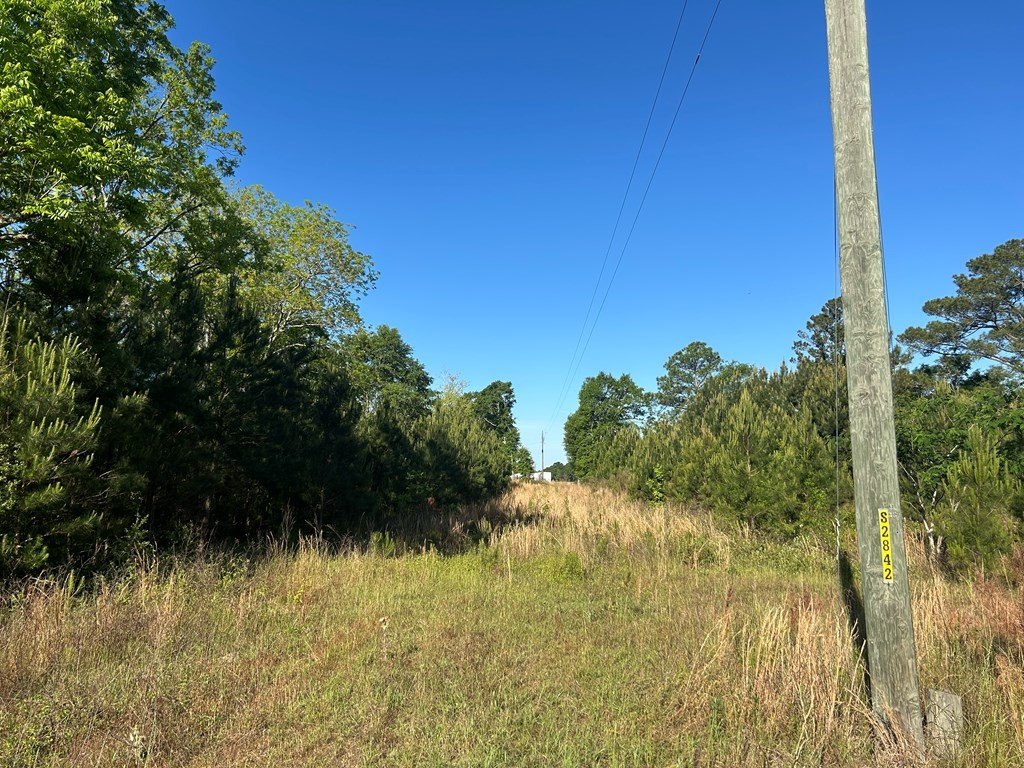 Picture 29