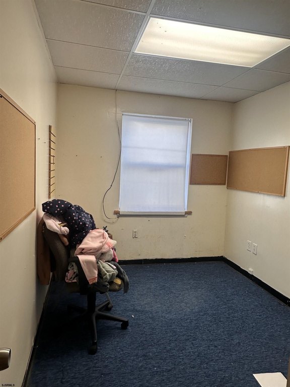 Picture 29