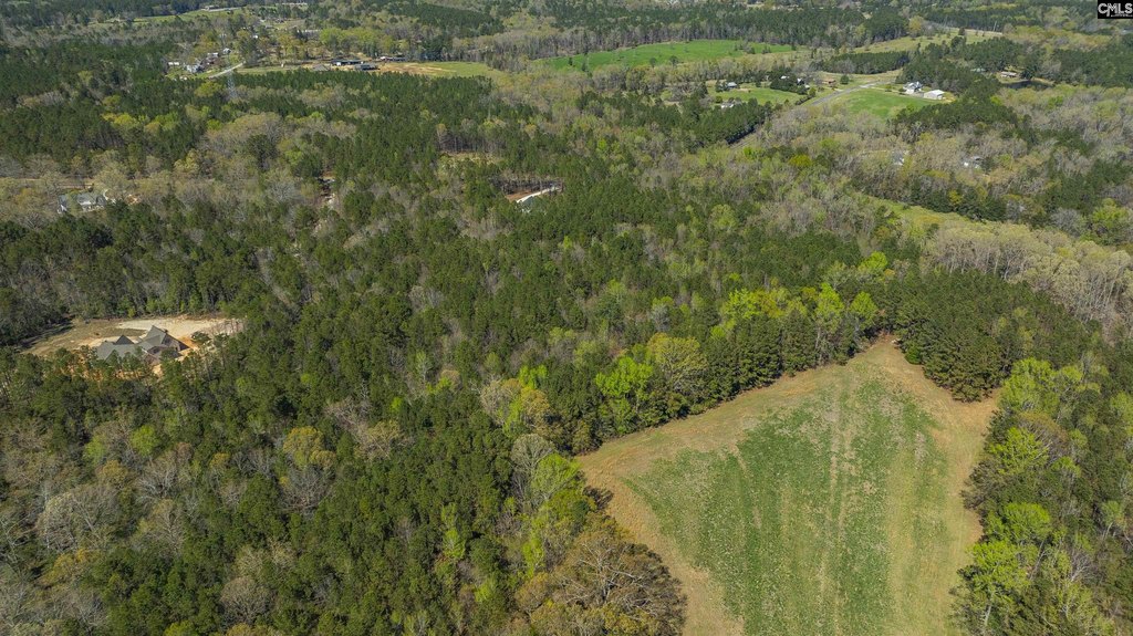 Picture 29