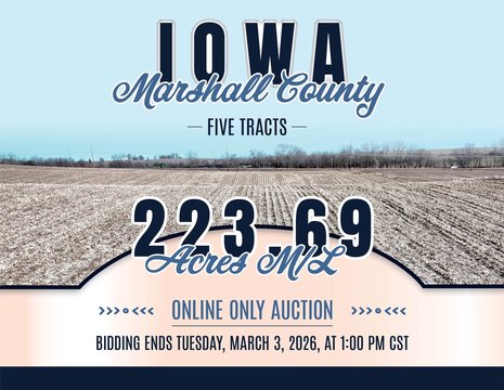 Productive Farmland Auction in Marshalltown