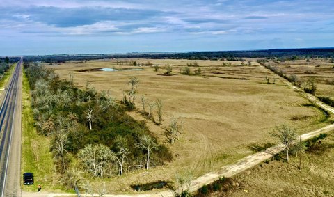 Productive Land in Bedias, Texas