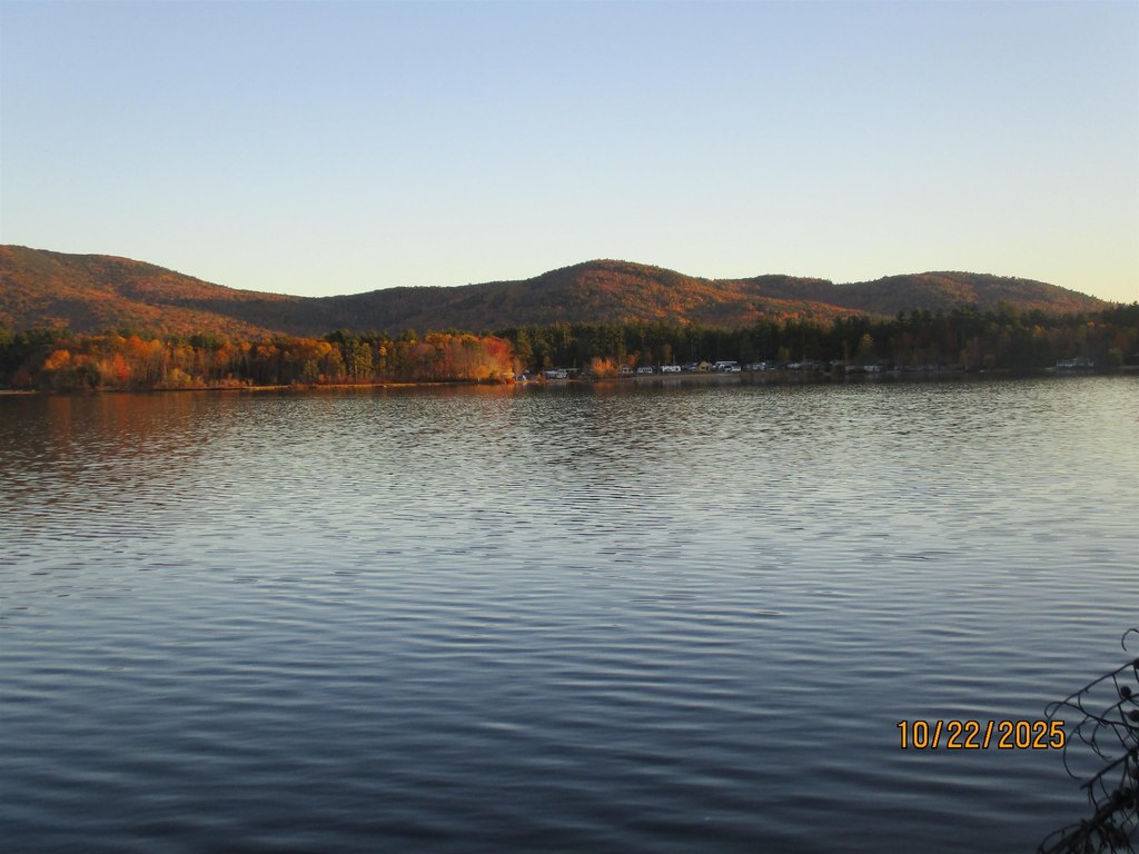 Picture 14