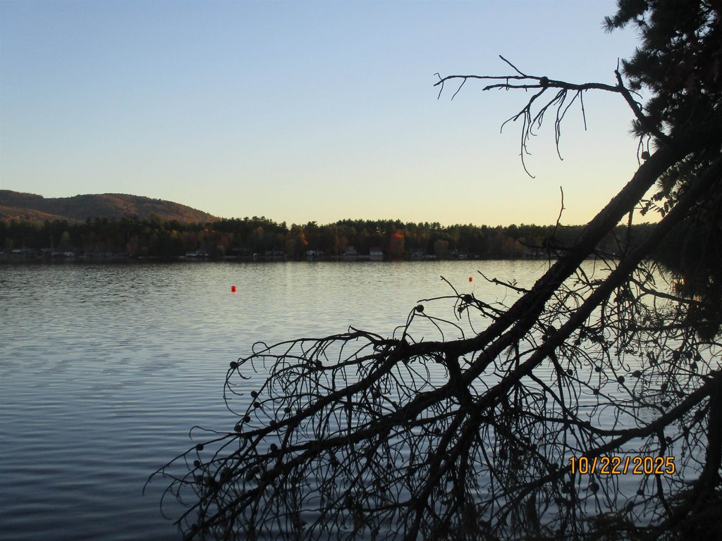 Picture 9