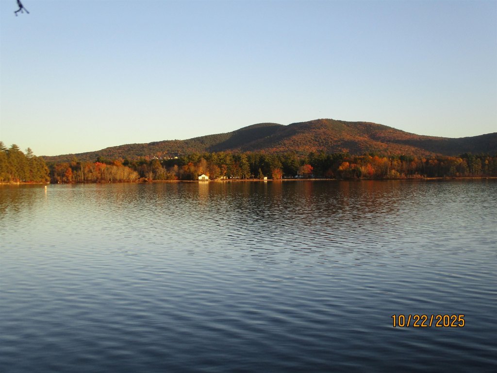Picture 8