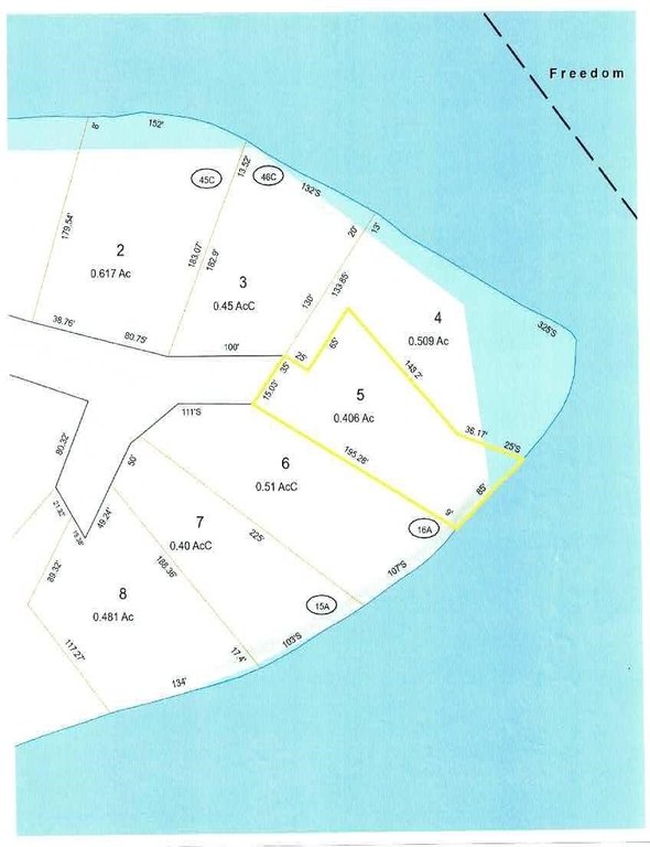 Picture 11