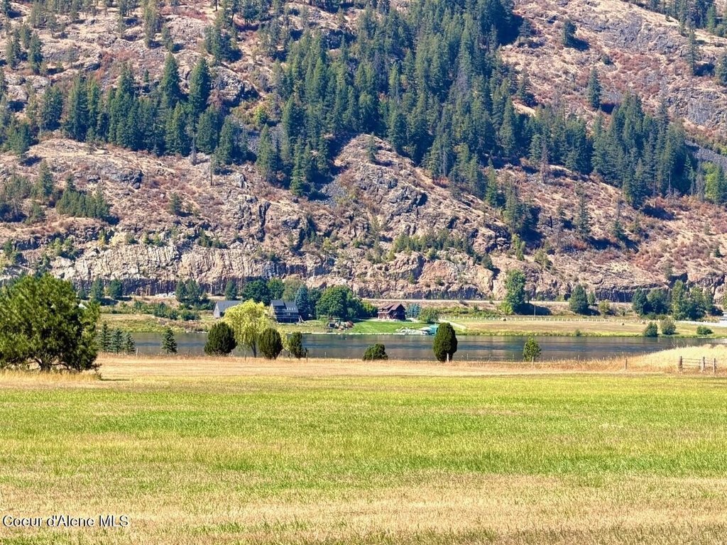 Picture 8